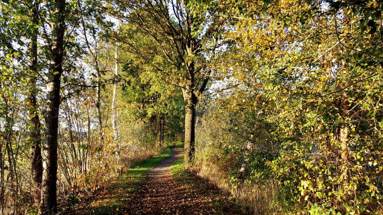 Fewo Grafschaft Nordhorn Exteriör bild