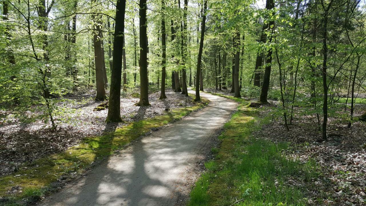 Fewo Grafschaft Nordhorn Exteriör bild
