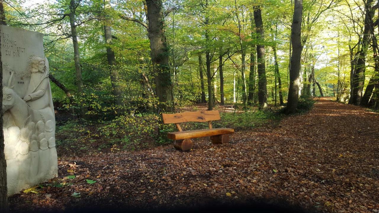 Fewo Grafschaft Nordhorn Exteriör bild