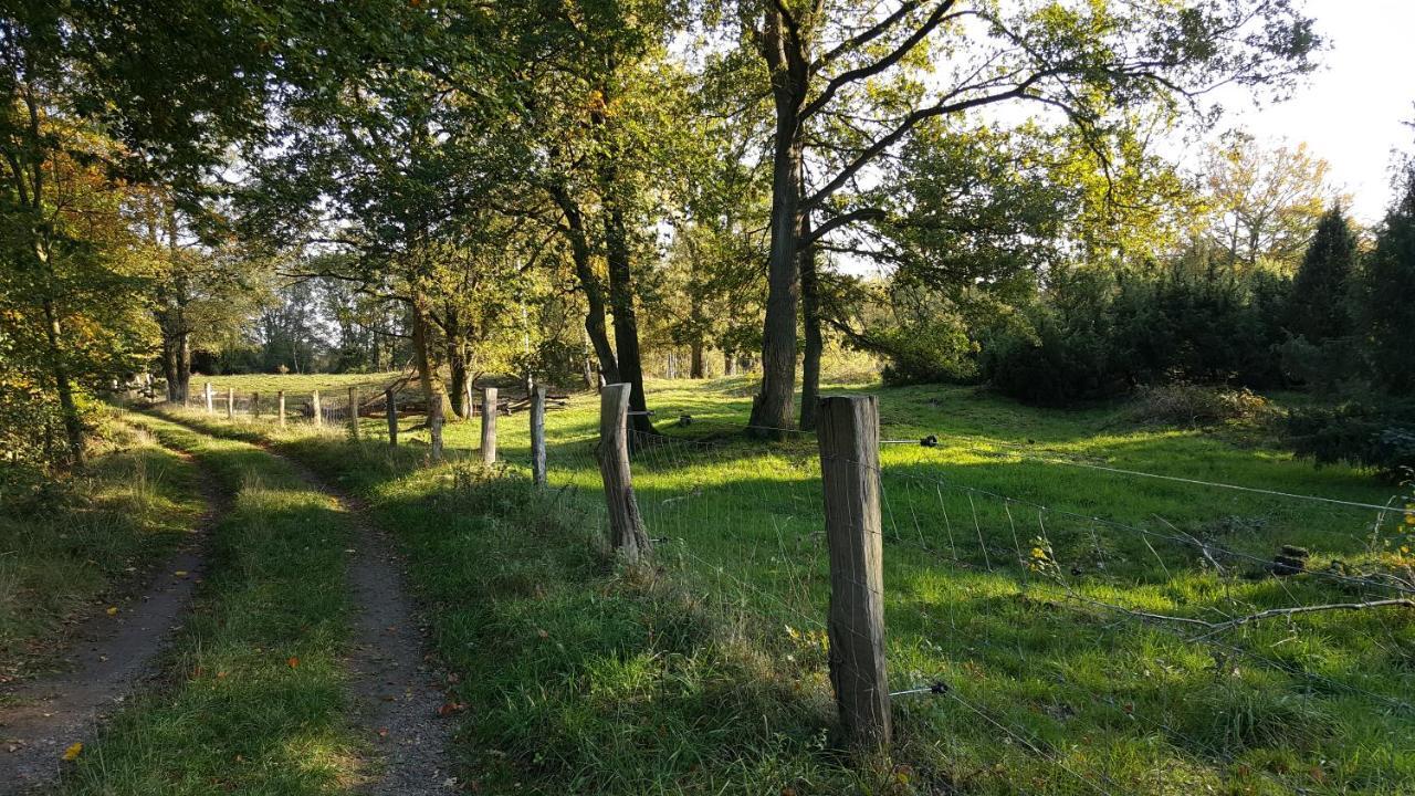 Fewo Grafschaft Nordhorn Exteriör bild